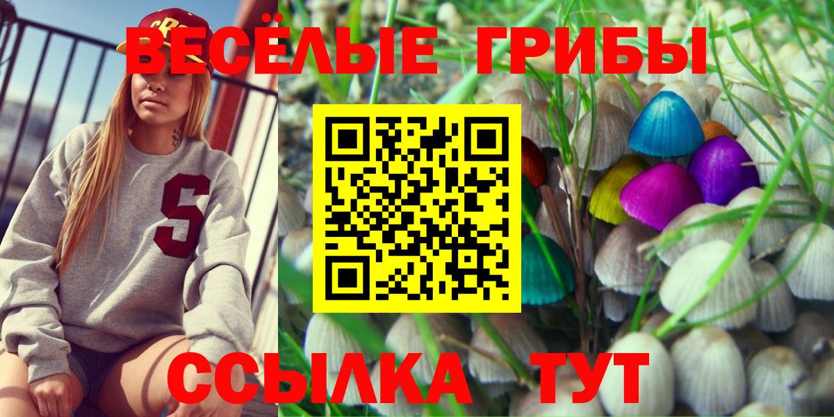 Псилоцибиновые грибы Psilocybine cubensis Энгельс